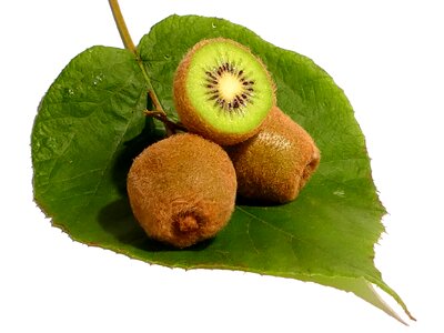 Healthy green food