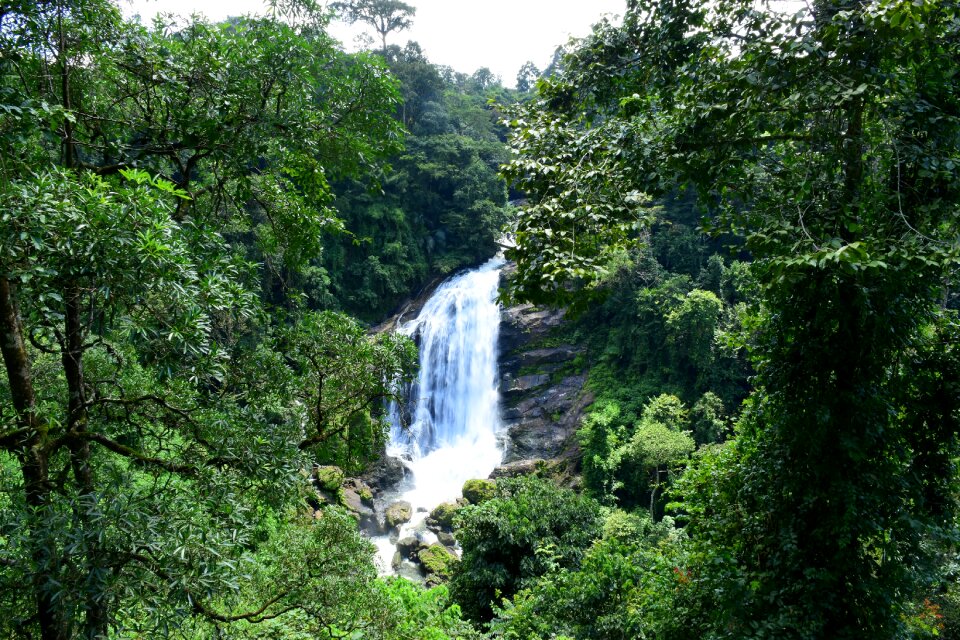 Munnar kerala green waterfall