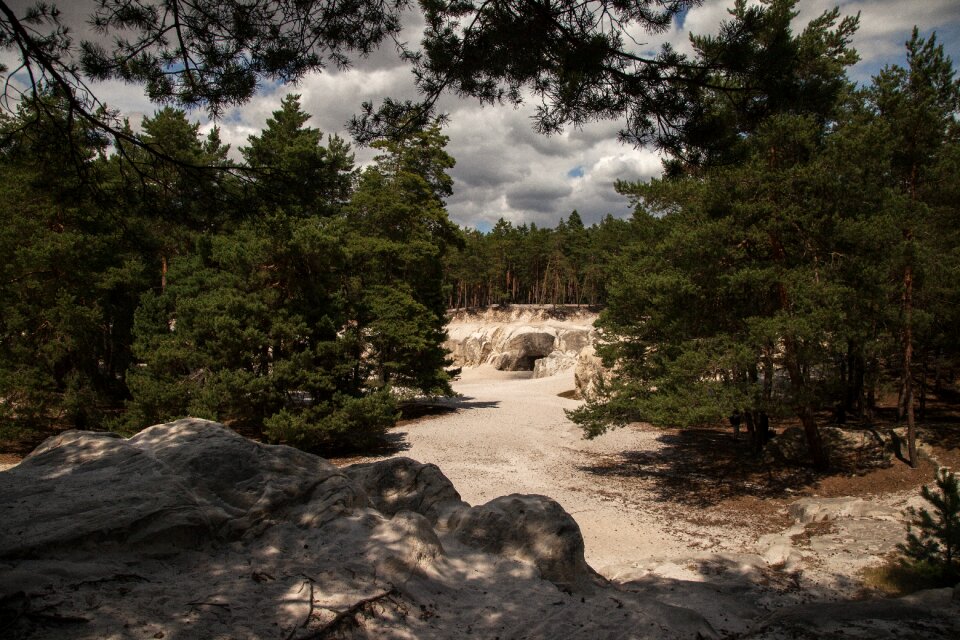 Sand stone rock forest