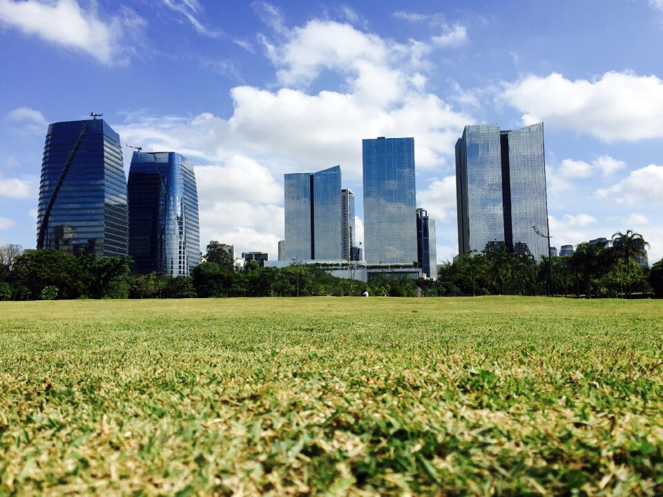 Sampa sao paulo nature