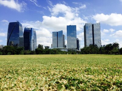 Sampa sao paulo nature