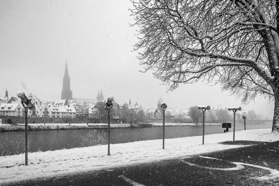 Snowy nature snow