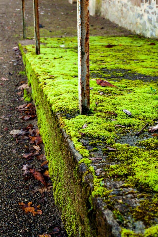 Rust railing concrete