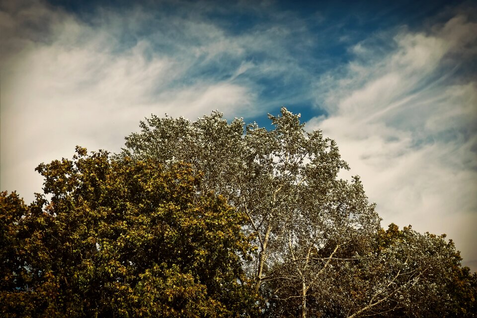 Landscape clouds sky