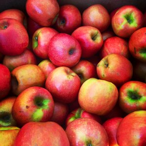 Healthy nutrition apple