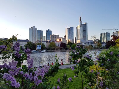 Main river frankfurt am main germany