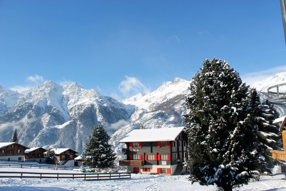 Mountains fir tree sky