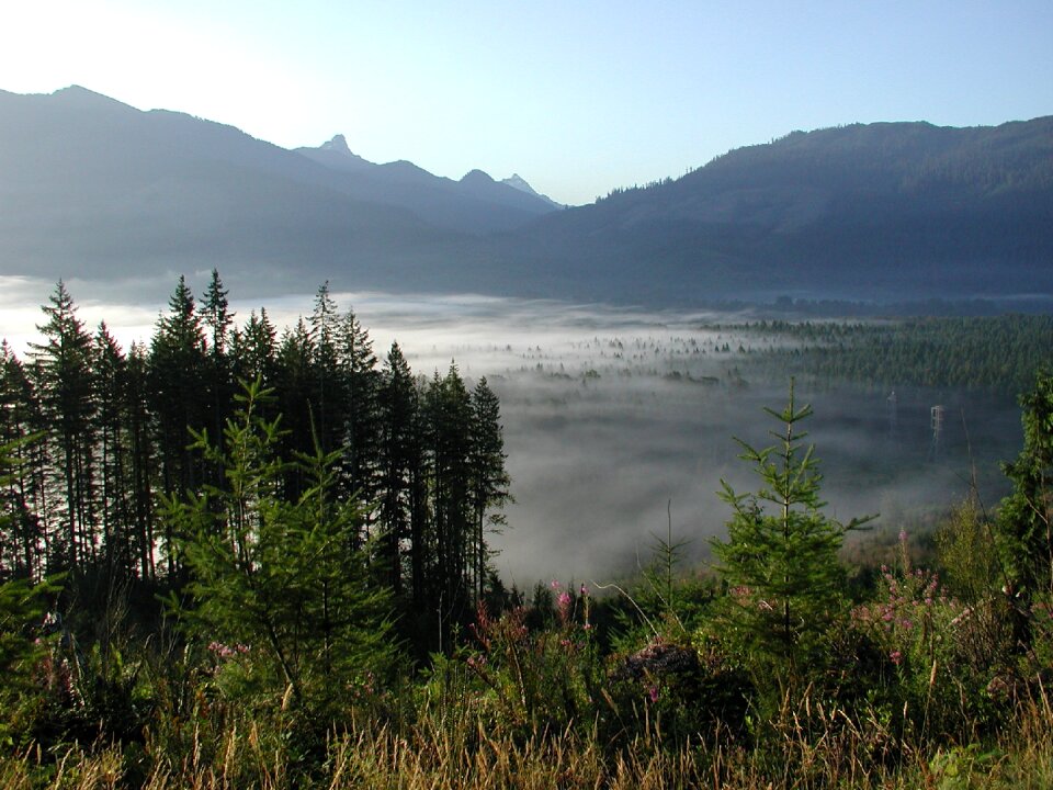 Nature landscape sun