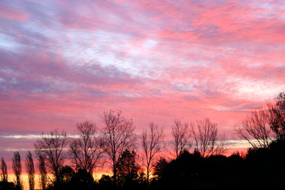 Trees clouds rising sun