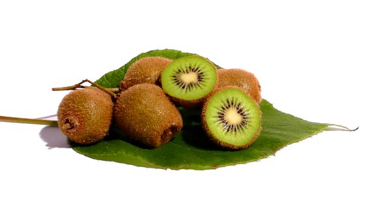 Healthy green food