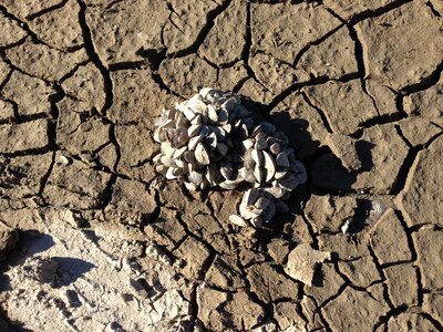 Cracks dry drought