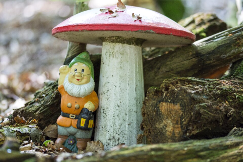 Woodgnome red fly agaric nature