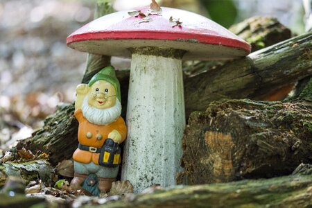 Woodgnome red fly agaric nature