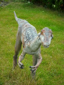 Prehistory the prehistoric lizard