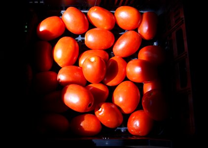 Light black vegetables
