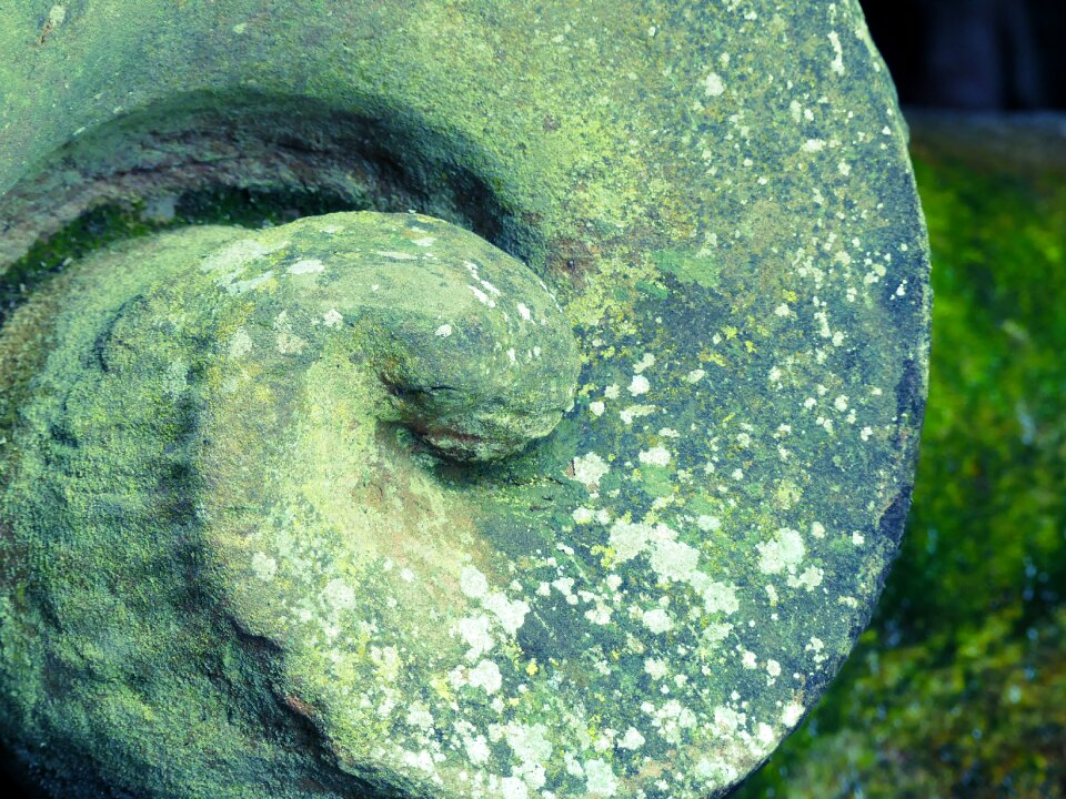 Spiral emergence building