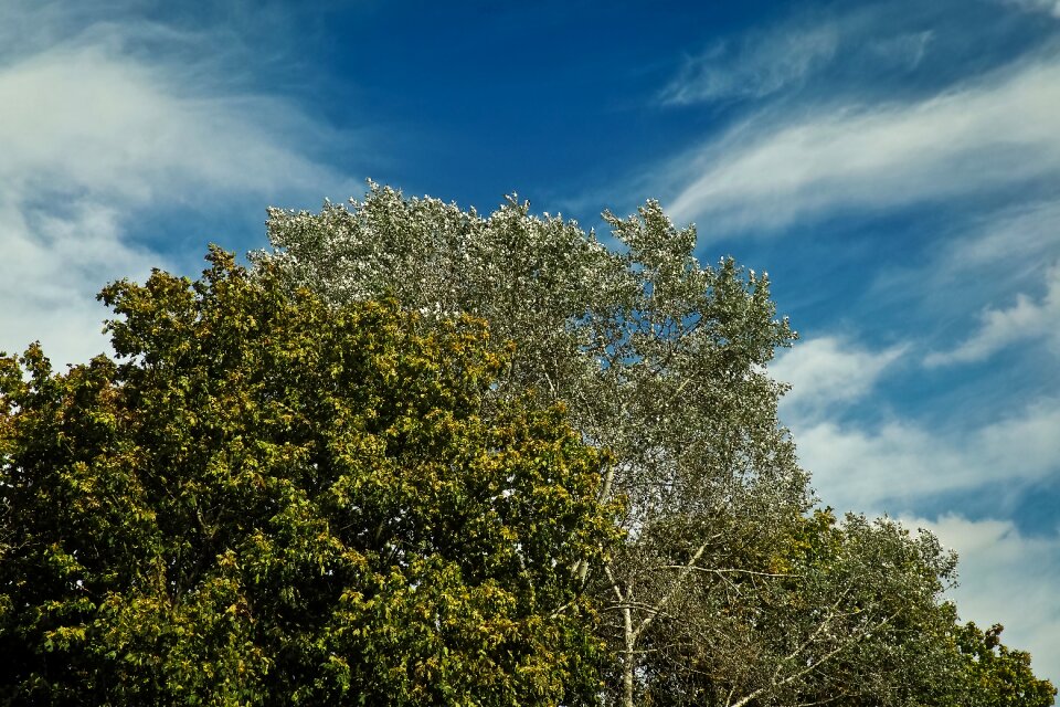 Landscape clouds sky