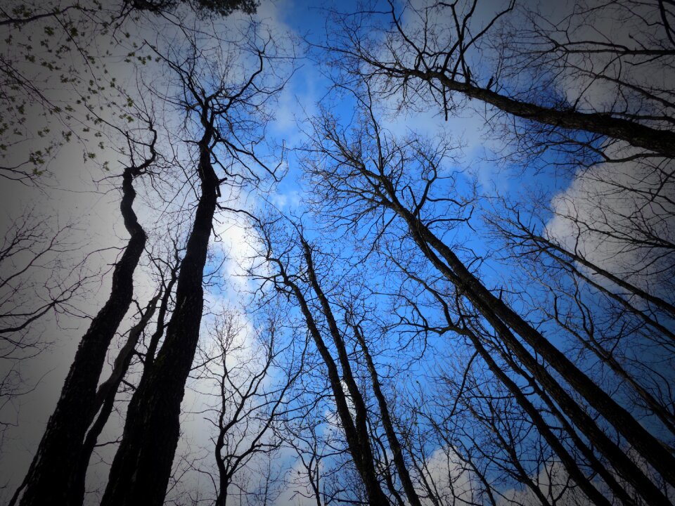 Fear threatening darkness