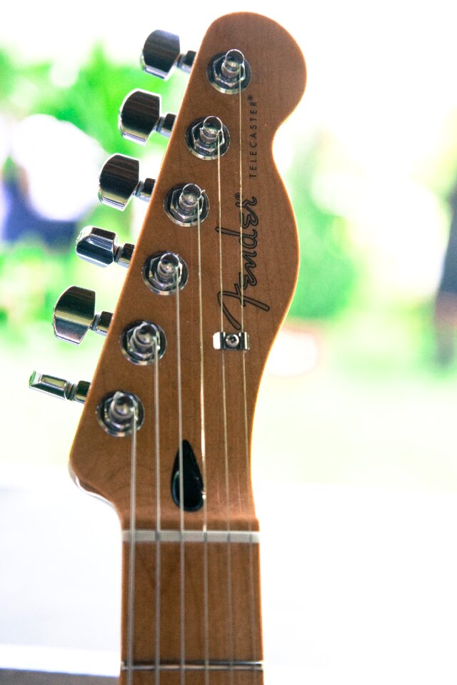 Fender feast concert