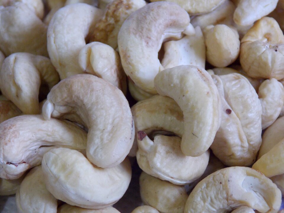 Protein healthy food