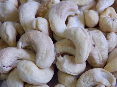 Protein healthy food