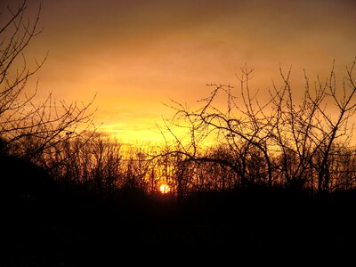 Park silhouette evening