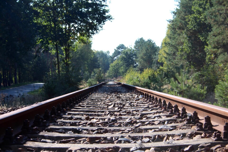 Track bed track endless