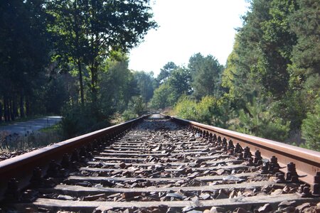 Track bed track endless