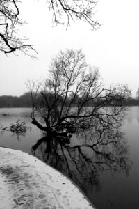 Bridge black white lake photo