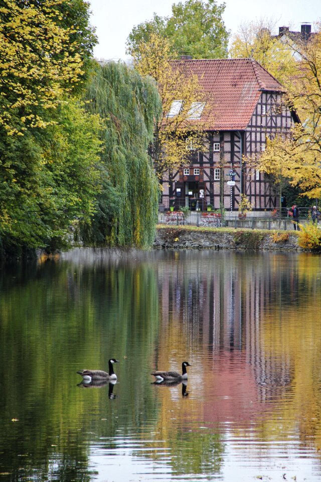 Autumn idyll fachwerkhaus fall foliage
