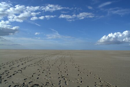 Nature reserve north sea beach