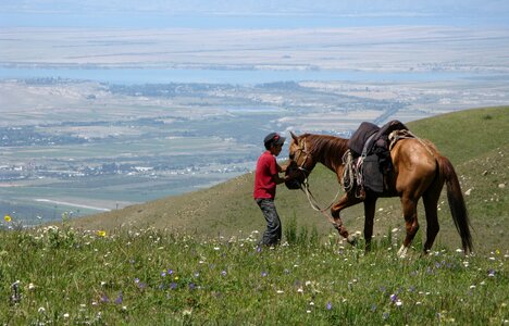 Nature animal ride