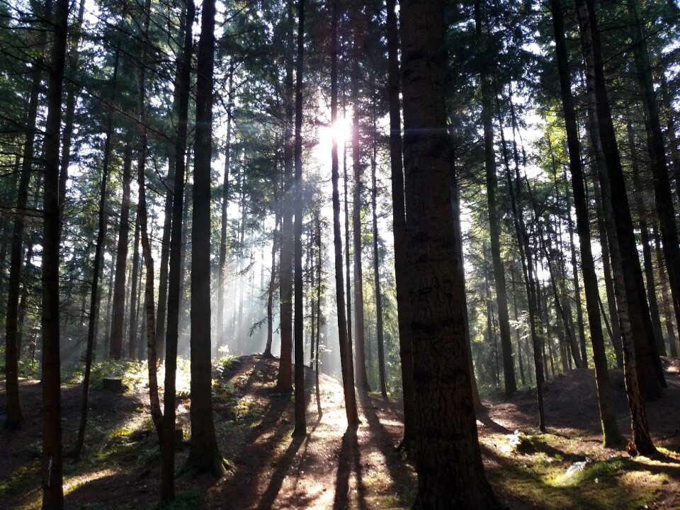 Autumn germany sunday