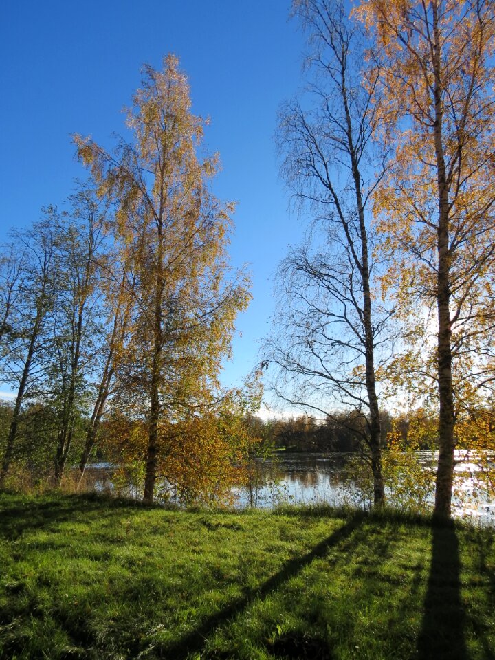 Fall colors sky lake