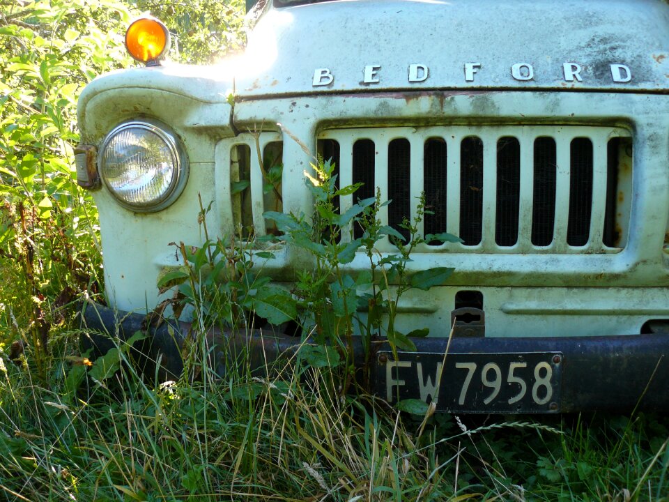 Grass still bumper