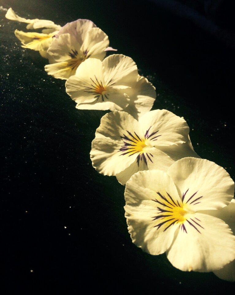 Contrast spring set