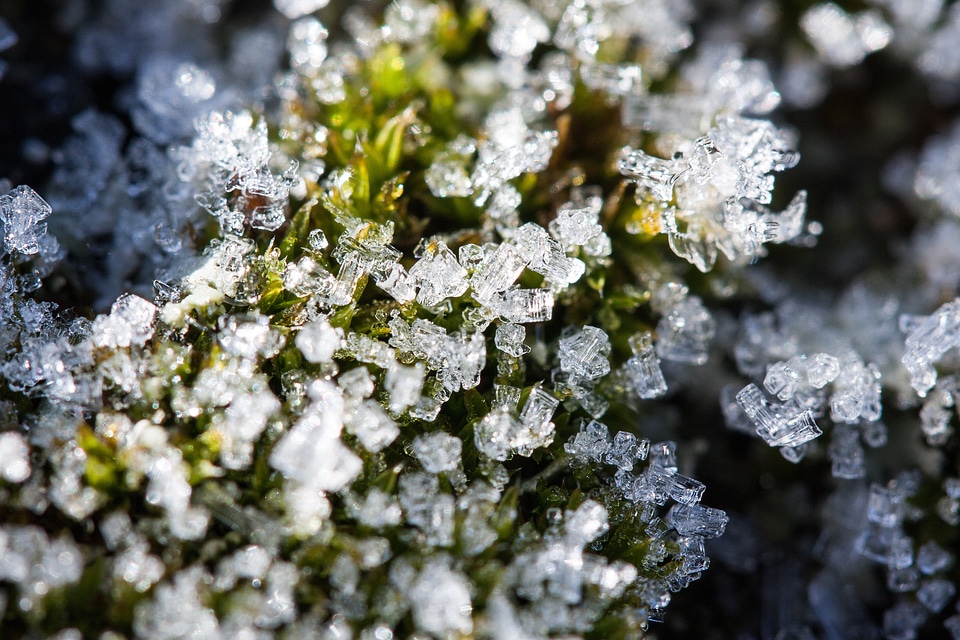 Snow cold transition