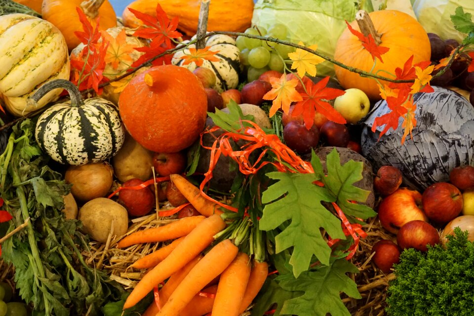 Autumn decoration vegetables harvest