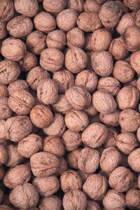 Dry fruit fruit nature