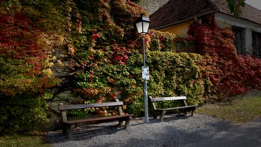 Colorful leaves seasons of the year spacer