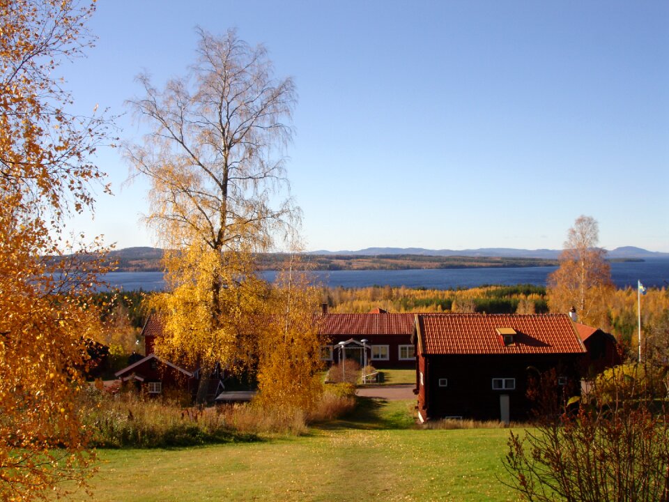 Beautifully sweden nature