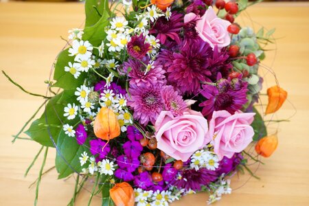 Pink roses astras