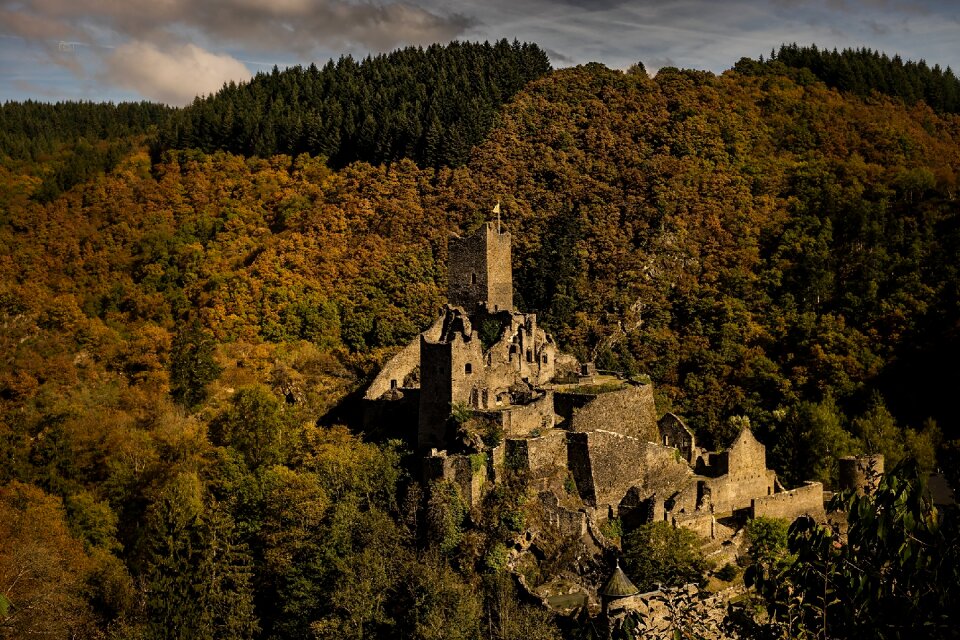 Middle ages forest nature
