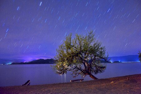 Starry sky tree lake photo