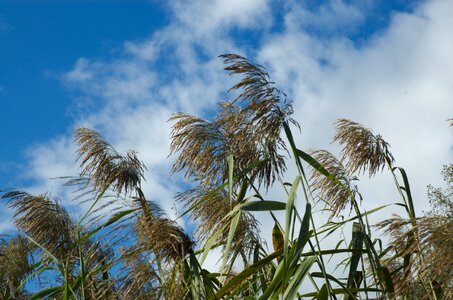 Sky nature wind