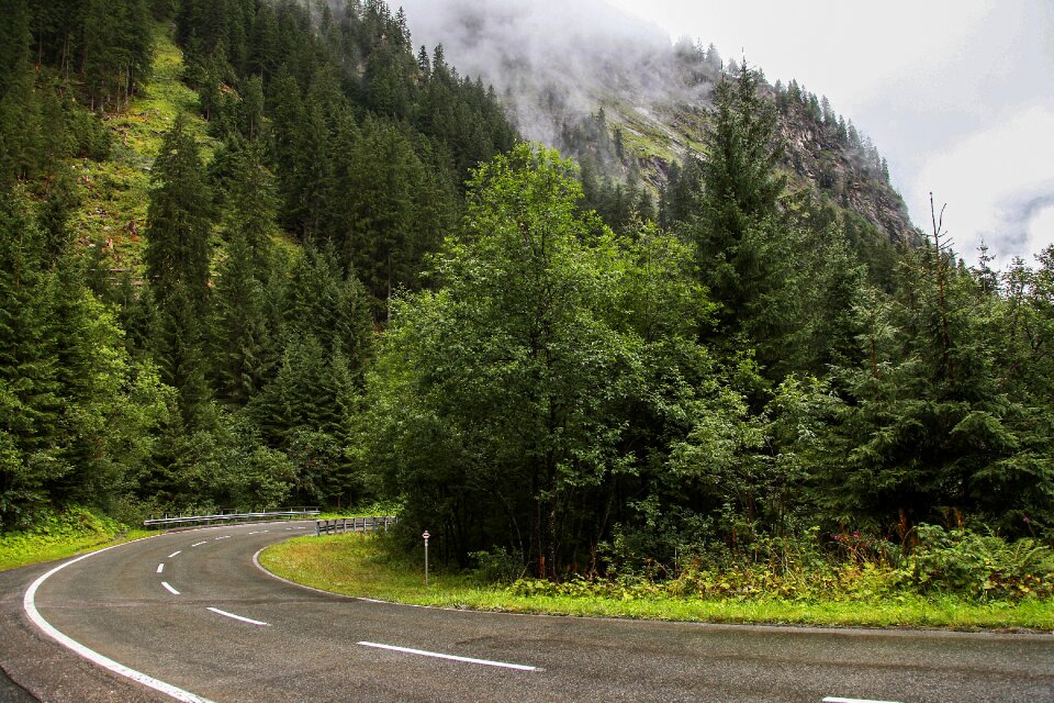 Serpentine mountains trees photo