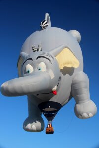 Hot air balloon sky