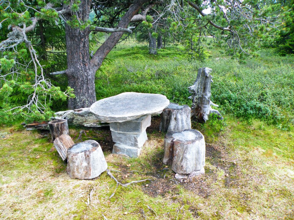 Stone table chairs