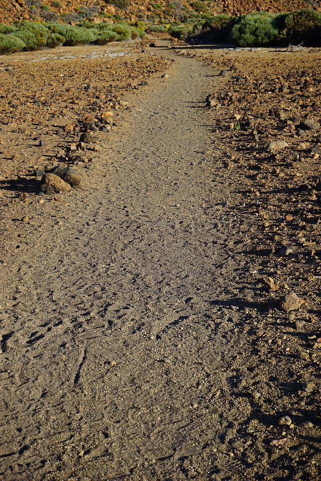 Migratory path trail tenerife