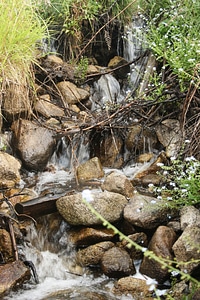 Flowing water rocks photo